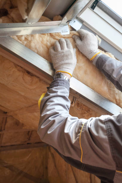 Best Insulation Replacement Services  in Loma Ri, CA